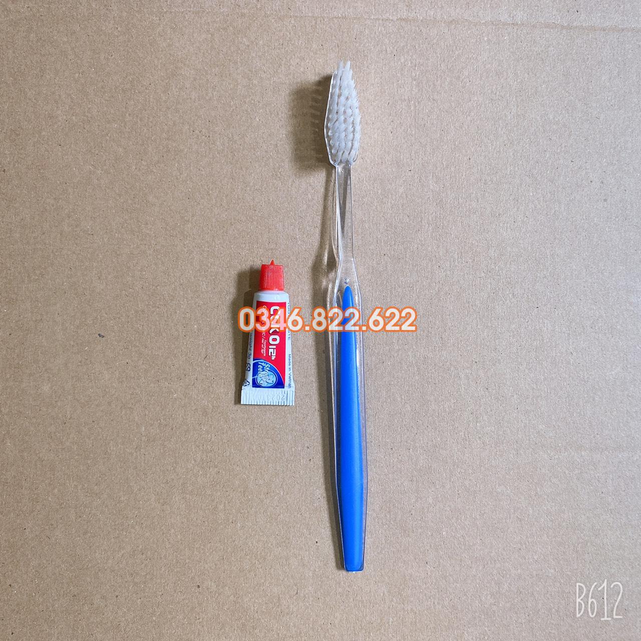 Bàn chải đánh răng cán xanh gầy kem đỏ ( túi 100 chiếc ) Bàn chải đánh răng cán xanh gầy kem đỏ ( túi 100 chiếc )